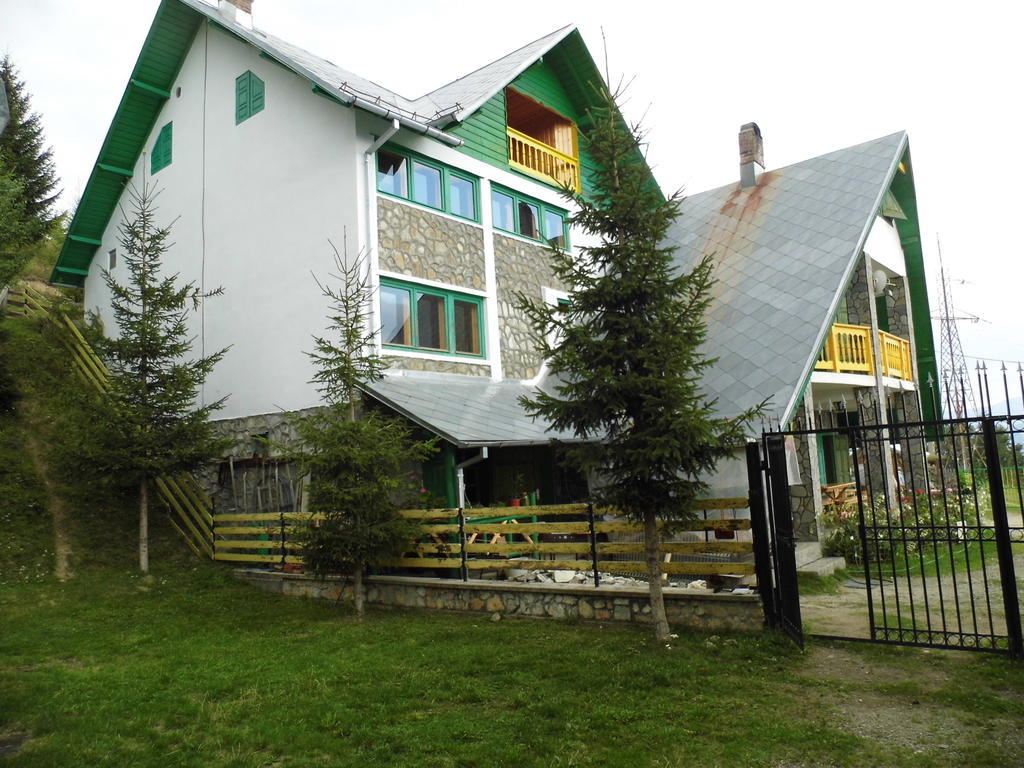 Pensiunea Luminita Ciungetu Exterior photo